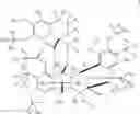 Fig. 06 - DEUTERIUM-ENRICHED TRABECTEDIN