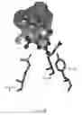 Fig. 02 - Method for treating atherosclerosis employing an aP2 inhibitor and combination