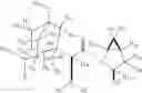 Fig. 02 - DEUTERIUM-ENRICHED SAXAGLIPTIN