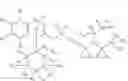 Fig. 06 - DEUTERIUM-ENRICHED SAXAGLIPTIN