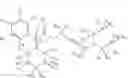 Fig. 06 - DEUTERIUM-ENRICHED BAZEDOXIFENE