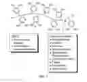 Fig. 02 - BIOMIMETIC COMPOUNDS AND SYNTHETIC METHODS THEREFOR