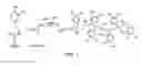 Fig. 07 - BIOMIMETIC COMPOUNDS AND SYNTHETIC METHODS THEREFOR