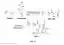 Fig. 09 - BIOMIMETIC COMPOUNDS AND SYNTHETIC METHODS THEREFOR