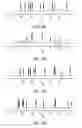 Fig. 09 - Beta helical peptide structures stable in aqueous and non-aqueous media and methods for preparing same