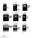 Fig. 06 - Modulation of exon recognition in pre-mRNA by interfering with the secondary RNA structure