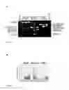 Fig. 08 - Modulation of exon recognition in pre-mRNA by interfering with the secondary RNA structure
