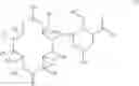 Fig. 02 - Macrolide derivatives