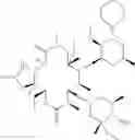 Fig. 124 - Macrolide derivatives