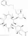 Fig. 137 - Macrolide derivatives