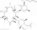 Fig. 167 - Macrolide derivatives