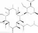 Fig. 191 - Macrolide derivatives