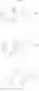 Fig. 20 - Macrolide derivatives