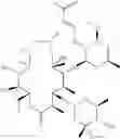 Fig. 22 - Macrolide derivatives