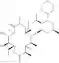 Fig. 241 - Macrolide derivatives