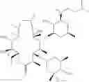 Fig. 32 - Macrolide derivatives