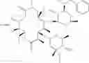 Fig. 34 - Macrolide derivatives