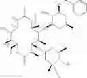 Fig. 40 - Macrolide derivatives