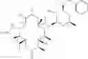Fig. 43 - Macrolide derivatives