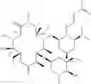 Fig. 46 - Macrolide derivatives