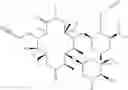 Fig. 52 - Macrolide derivatives