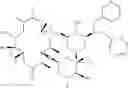 Fig. 65 - Macrolide derivatives
