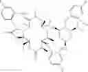 Fig. 74 - Macrolide derivatives