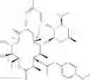 Fig. 80 - Macrolide derivatives