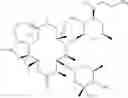 Fig. 93 - Macrolide derivatives