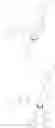 Fig. 22 - Degradation-resistant mononucleoside phosphate compounds