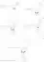 Fig. 43 - Degradation-resistant mononucleoside phosphate compounds