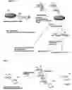 Fig. 09 - Method for synthesizing oligosaccharides and glycosylation