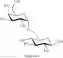 Fig. 20 - Method for synthesizing oligosaccharides and glycosylation