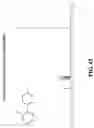 Fig. 44 - Copper-catalyzed C—H bond arylation