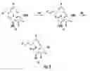 Fig. 06 - Methods of making epothilones