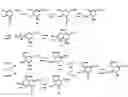 Fig. 01 - Preparation of oseltamivir phosphate