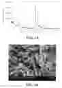 Fig. 02 - Synthesis of high activity ZSM-48