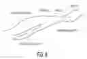 Fig. 08 - Ultrasonic Diagnostic System With Flexible Examination Protocols and Report Generation