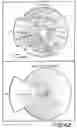 Fig. 07 - Method and apparatus for objective electrophysiological assessment of visual function