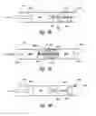 Fig. 10 - METHODS AND SYSTEMS FOR THERMALLY-INDUCED RENAL NEUROMODULATION