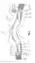 Fig. 02 - Ambidextrous ankle support