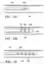 Fig. 07 - METHODS FOR MAINTAINING THE PATENCY OF  COLLATERAL CHANNELS IN THE LUNGS USING CRYO-ENERGY