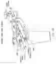Fig. 45 - Method and apparatus for reconstructing a ligament and/or repairing cartilage, and for performing an open wedge, high tibial osteotomy