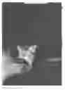 Fig. 167 - Methods and apparatus for improved profile based resection