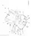 Fig. 05 - Vertebral anchoring device
