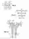 Fig. 05 - Artificial ligaments for joint applications