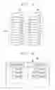 Fig. 05 - SYSTEM, APPARATUS AND METHOD OF MAKING IMAGE INTERPRETATION REPORT