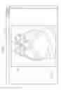 Fig. 06 - SYSTEM, APPARATUS AND METHOD OF MAKING IMAGE INTERPRETATION REPORT