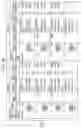 Fig. 08 - User state presumption system, user state presumption method, and recording media storing user state presumption program