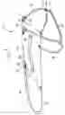 Fig. 02 - QUADRUPED ANIMAL HARNESS